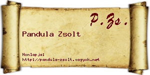 Pandula Zsolt névjegykártya